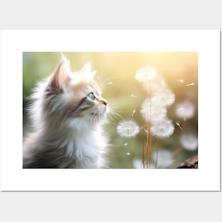 Cat Furry Pet Animal Tranquil Peaceful Posters and Art